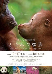 どうぶつ家族