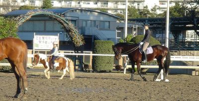 根岸競馬記念公苑