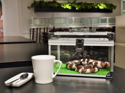 ヘビカフェ