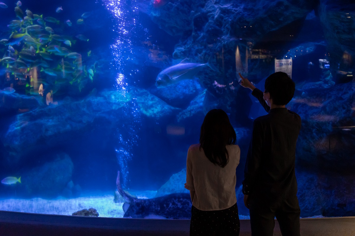 すみだ水族館