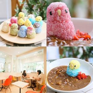 インコカレー