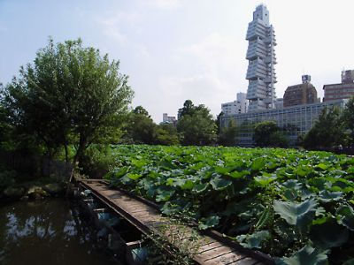 特集