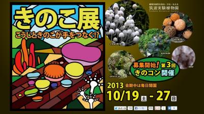 きのこ展