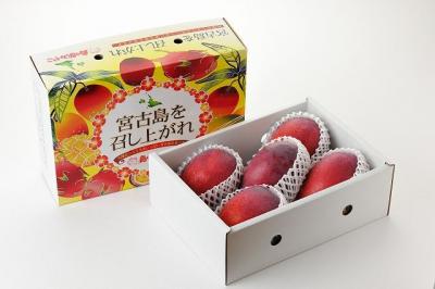 マンゴー共和国