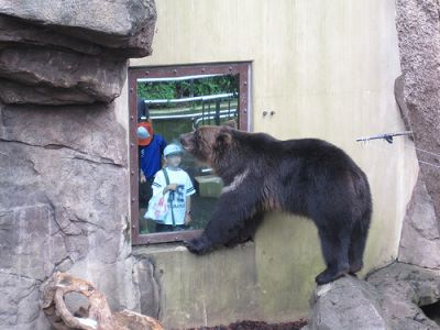 金沢動物園