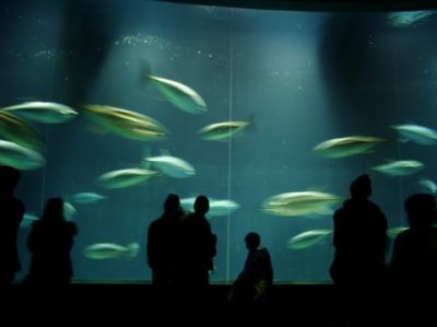 葛西臨海水族園