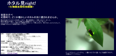 ホタル見night!!