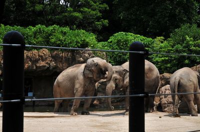 東武動物公園