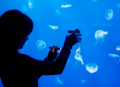 すみだ水族館