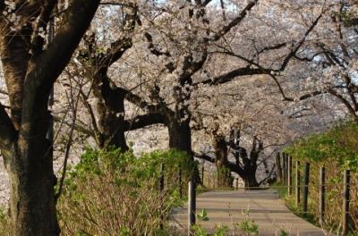 東京国立博物館