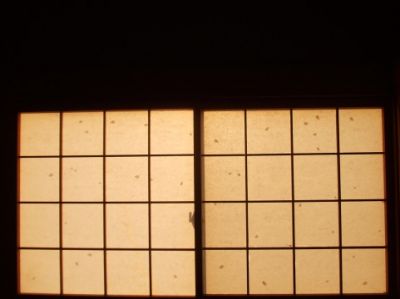 特集