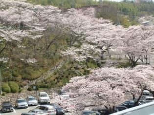 太閤花灯路