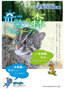 奇跡の森