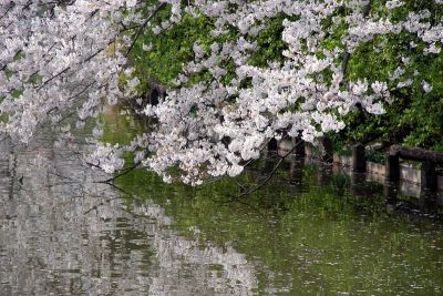 三ッ池公園