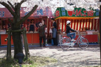 染井吉野桜記念公園