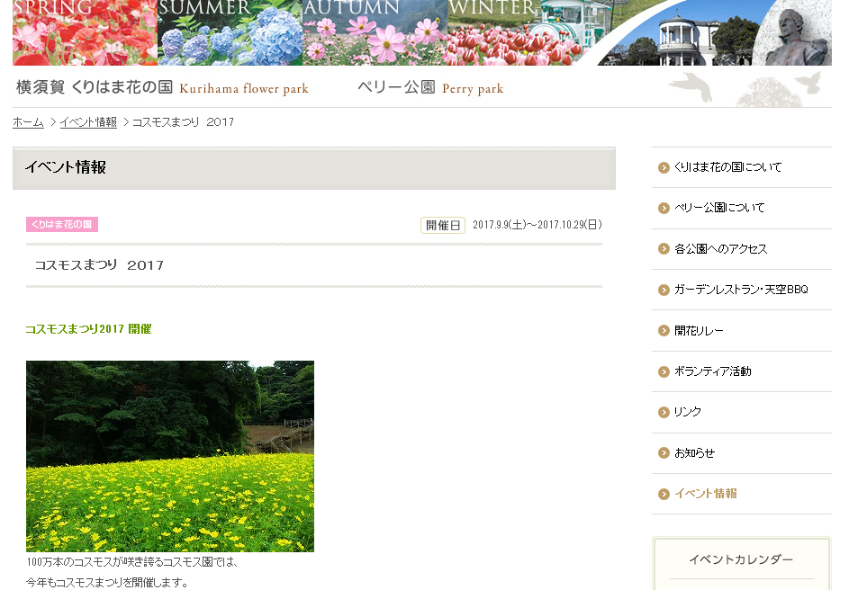 横須賀くりはま花の国コスモスまつり2017