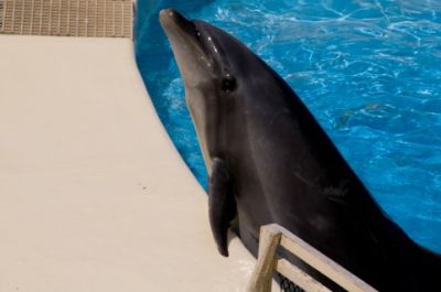 新江ノ島水族館