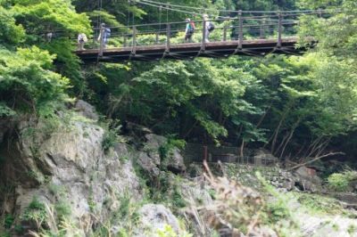 都民の森