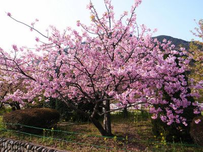 横浜エクセル東急